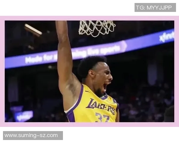 湖人对热火比赛中的关键判罚分析与争议解读